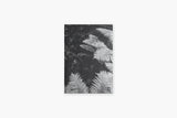 Notebook – Fern, Curated Paper, stationery design