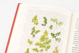 Decorative Stickers, Appree, home office, stationery design