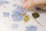 Decorative Stickers, Appree, home office, stationery design
