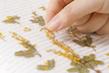 Decorative Stickers, Appree, stationery, home office