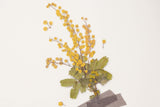 Decorative Stickers, Appree, stationery, home office