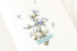 Decorative Stickers, Appree, stationery, home office