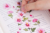 Decorative Stickers, Appree, stationery, home office