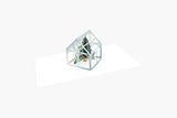 Pop-up Greeting Card – Winter Greenhouse, UWP Luxe, stationery design
