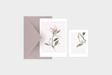 Greeting Card – Magnolia, muska, greeting card, decoration card, flower card, stationery store, designer office supplies